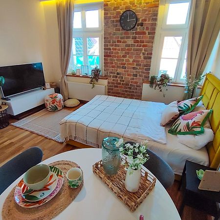 Apartamenty Piekary 11 Przy Wisle By Rentoom Stary Toruń Buitenkant foto