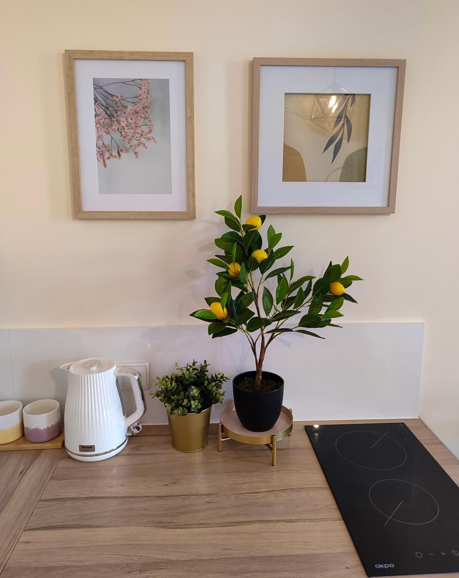 Apartamenty Piekary 11 Przy Wisle By Rentoom Stary Toruń Buitenkant foto